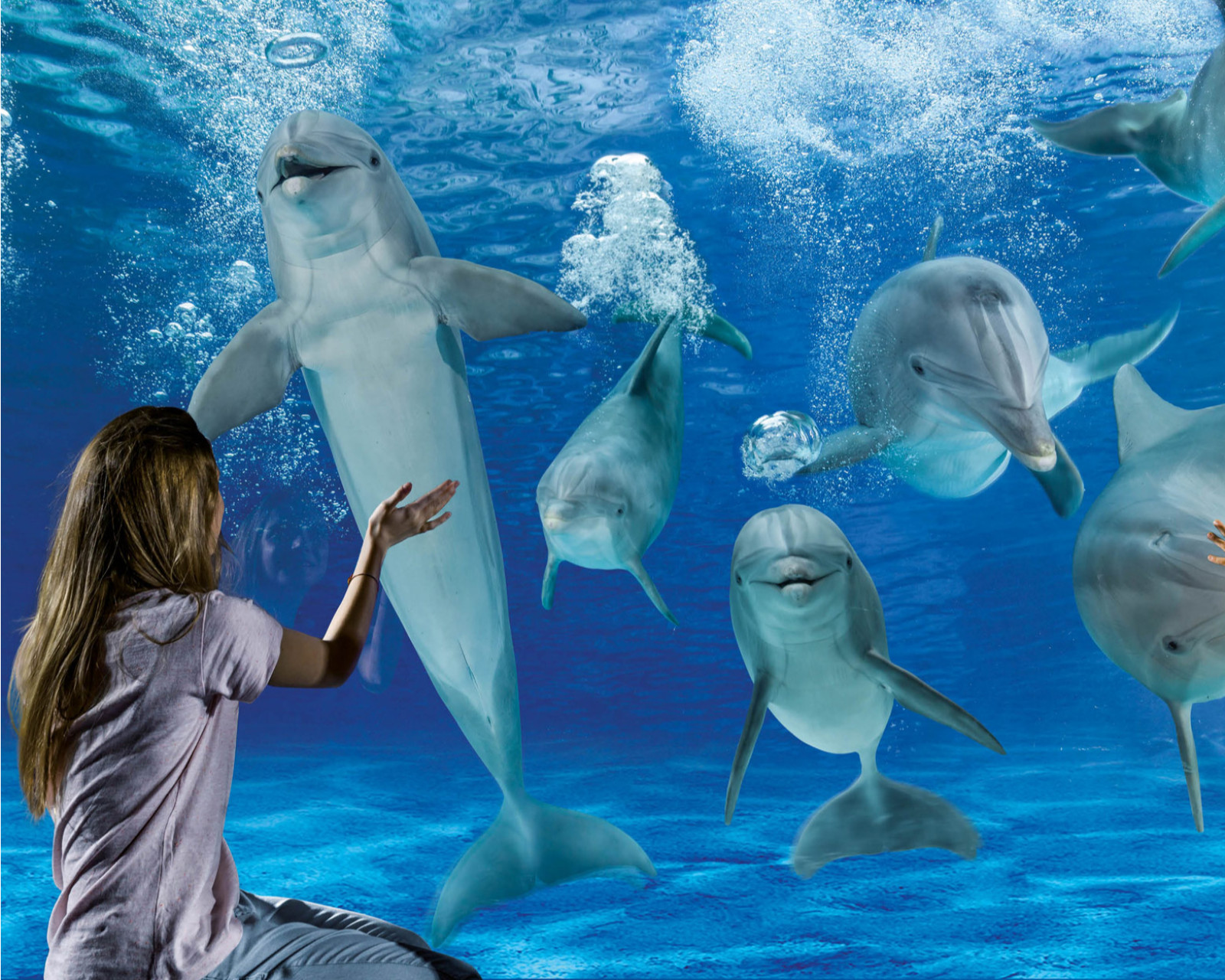 media.Gallery_Parchi_3HotelGaudia_Riccione