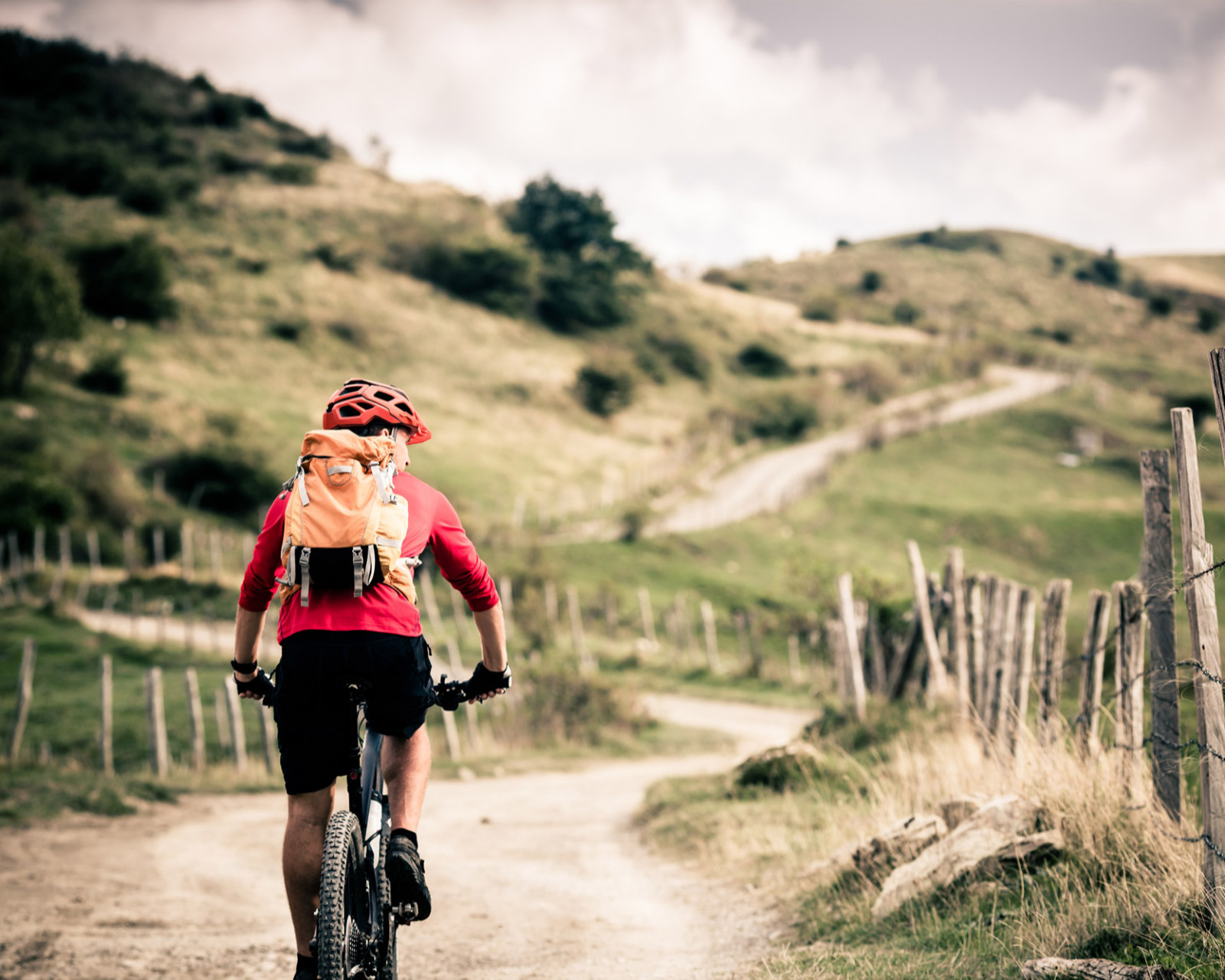 media.Gallery_MTB_3HotelGaudia_Riccione