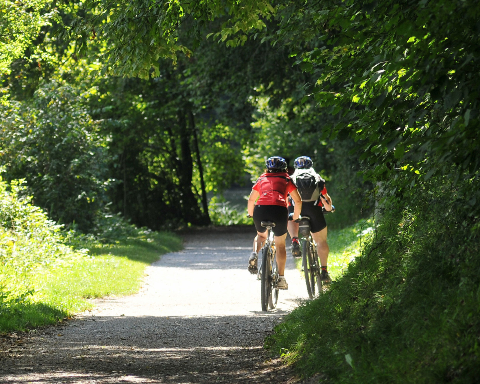 media.Gallery_MTB_4HotelGaudia_Riccione