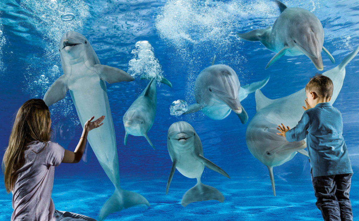 media.Gallery_Parchi_3HotelGaudia_Riccione